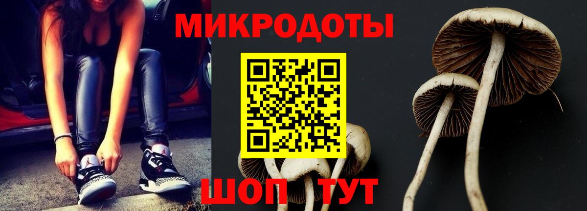 Псилоцибиновые грибы мицелий Асбест