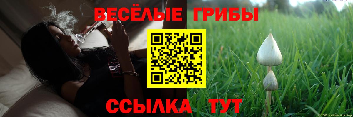 Асбест  Псилоцибиновые грибы MAGIC MUSHROOMS  Вход с VPN 